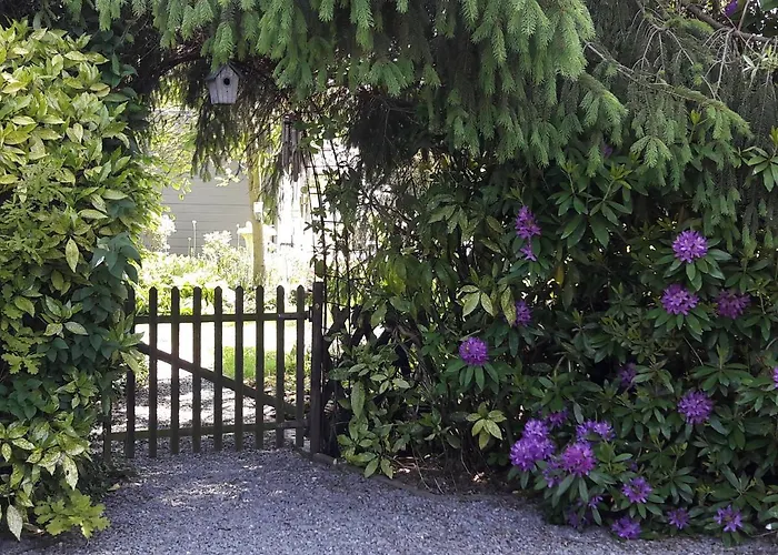 B&B 'T Gezellig Huizeke Zoersel photo