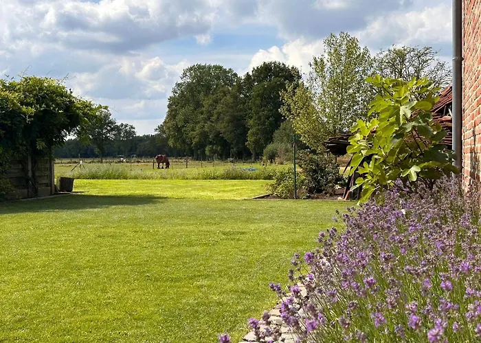 B&B Droomzoet Herentals photo